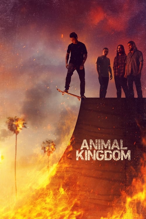 Animal Kingdom : 5.Sezon 13.Bölüm