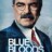 Blue Bloods : 1.Sezon 3.Bölüm izle