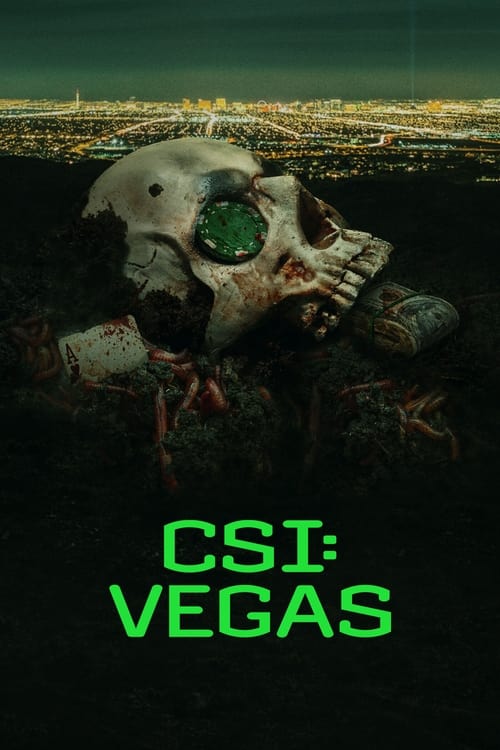 CSI Vegas : 2.Sezon 12.Bölüm