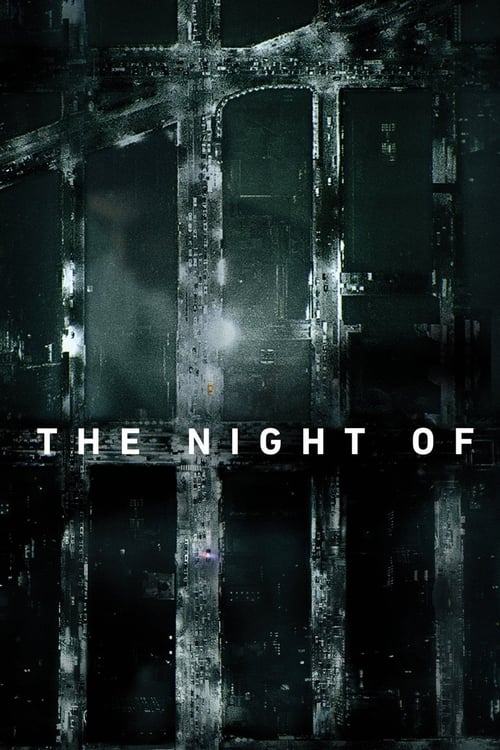 The Night Of : 1.Sezon 2.Bölüm