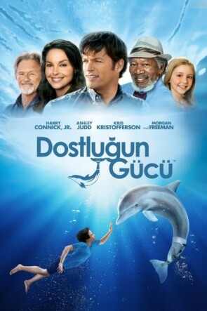 Dostluğun Gücü (2011)