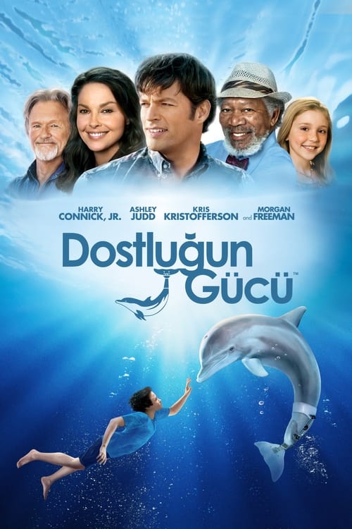 Dostluğun Gücü (2011)