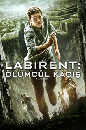 Labirent: Ölümcül Kaçış (2014)