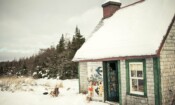 Maudie (2016)